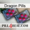 Dragon Pills 14